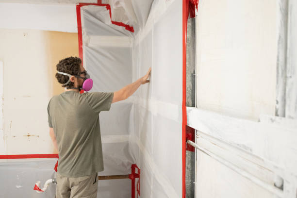 Mold Remediation for Vacation Homes in Benton Harbor, MI