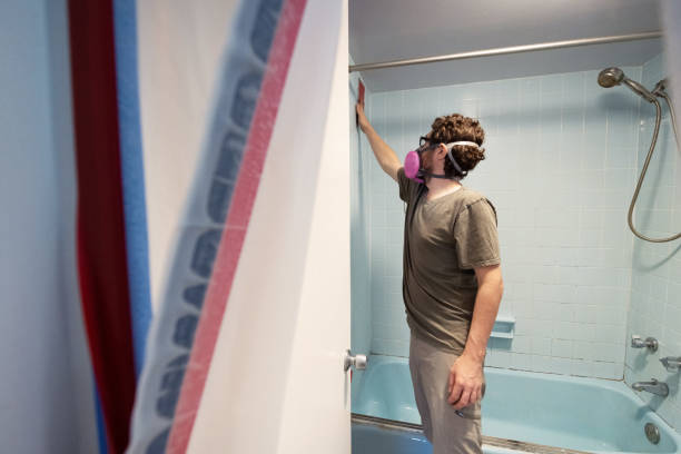 Best Mold Removal for HVAC Installations  in Benton Harbor, MI