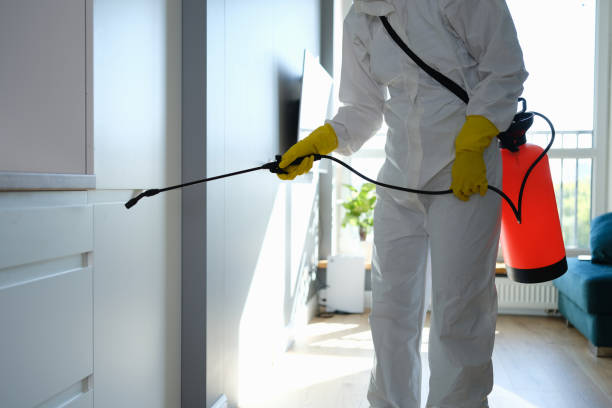 Mold Documentation for Insurance Claims in Benton Harbor, MI