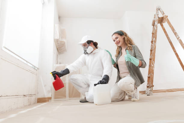 Best Mold Documentation for Insurance Claims  in Benton Harbor, MI